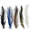 Plumas Rhea Tipo Spay