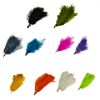 Pack 30 Plumas Suri