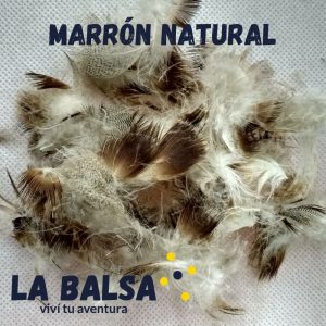 Mallard Wooduck - Marrón natural