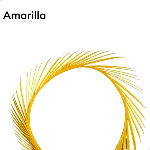 Stripped Goose (Biot Ganso) - Amarillo