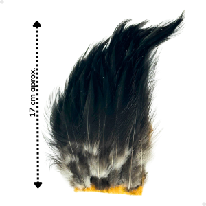 Patches Neck 30 plumas