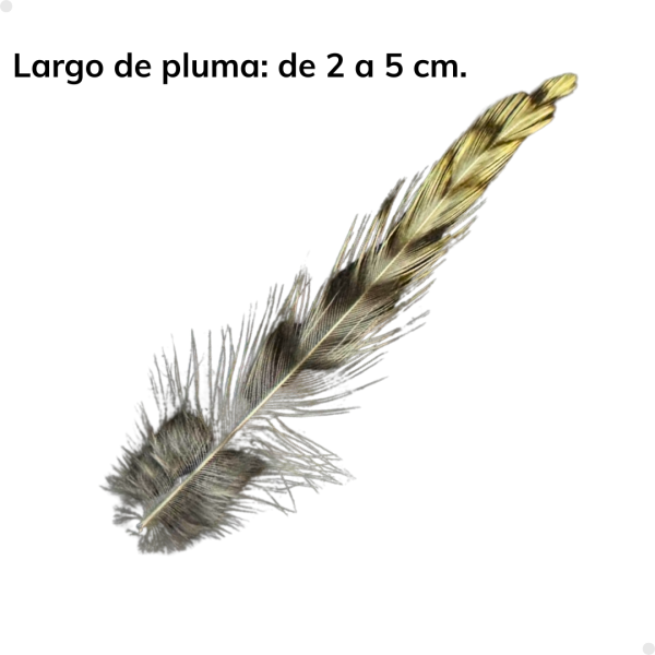 Patches Neck Grizzy 30 plumas aproximadamente - 2 a 5 cm. largo - Imagen 5