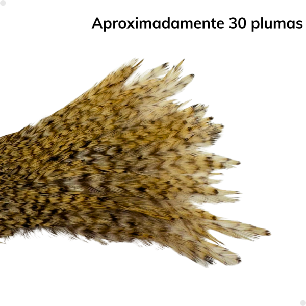 Patches Neck Grizzy 30 plumas aproximadamente - 2 a 5 cm. largo - Imagen 4