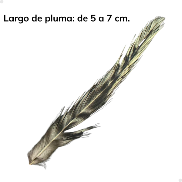 Patches Neck Grizzly 30 plumas aproximadamente - 5 a 7 cm. largo - Imagen 5