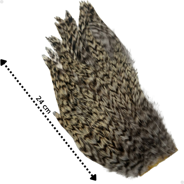 Patches Neck Grizzly 30 plumas aproximadamente - 8 a 10 cm. largo
