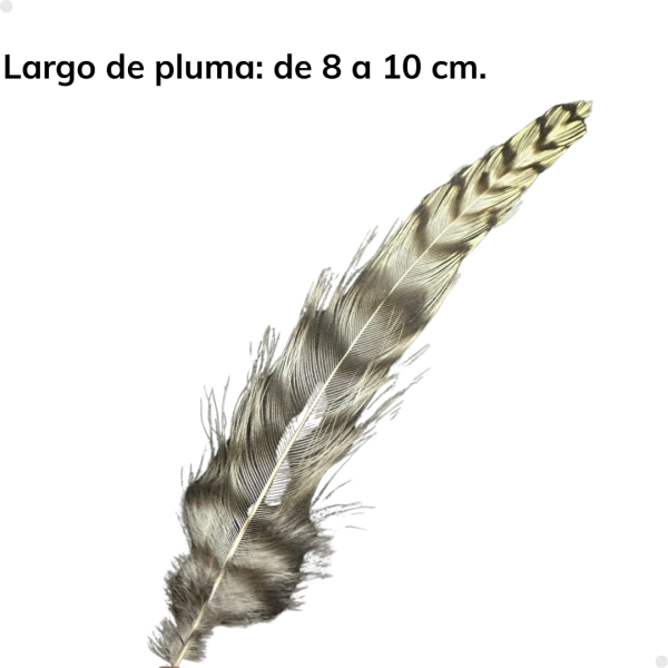 Patches Neck Grizzly 30 plumas aproximadamente - 8 a 10 cm. largo - Imagen 5