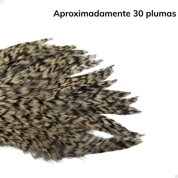 Patches Neck Grizzly 30 plumas aproximadamente - 8 a 10 cm. largo - Imagen 4