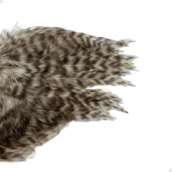 Patches Neck Grizzly 30 plumas aproximadamente - 8 a 10 cm. largo - Imagen 3