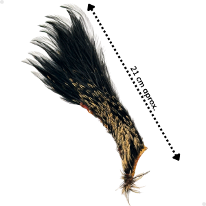 Patches Neck 30 plumas aproximadamente - 2 a 5 cm. largo