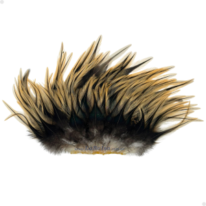 Patches Saddle 30 plumas aproximadamente - 8 a 14 cm. Largo